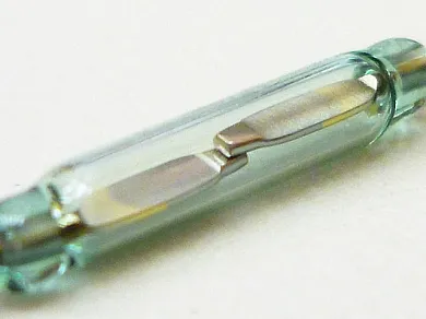 An inert-gas-sealed reed switch: the tiny ruthenium-contact mechanism behind the S513i's input selection